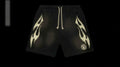 H-Star Shorts